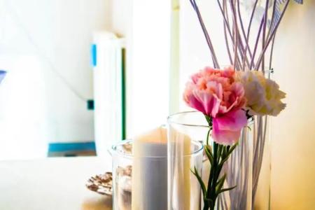 B&B Terra del Sole - 40