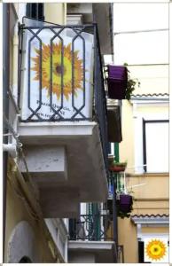 B&B Terra del Sole - 9