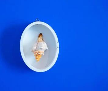 B&B Terra del Sole - 29