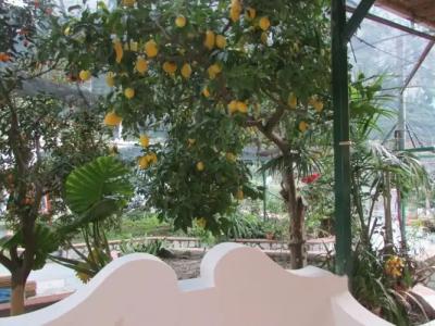 Casa Palazzo a Mare - 17