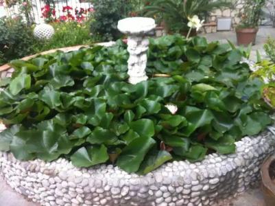 Casa Palazzo a Mare - 22