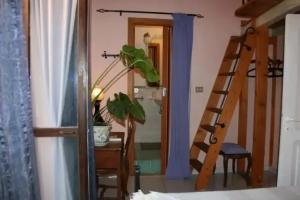 Il Camaleonte, Bracciano