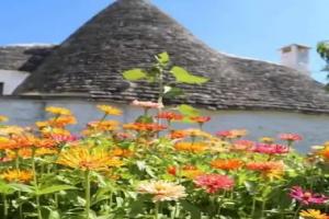 Trulli Del Bosco, Alberobello
