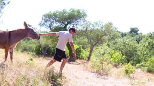 Trulli Del Bosco - 27