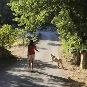 Trulli Del Bosco - 23