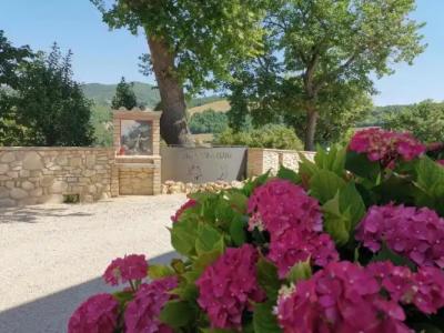 Agriturismo Sole Luna - 11