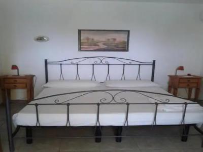 Azienda Agrituristica B&B La Torre - 19