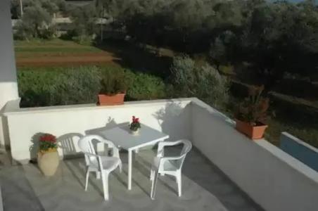 Azienda Agrituristica B&B La Torre - 3