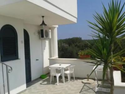 Azienda Agrituristica B&B La Torre - 5