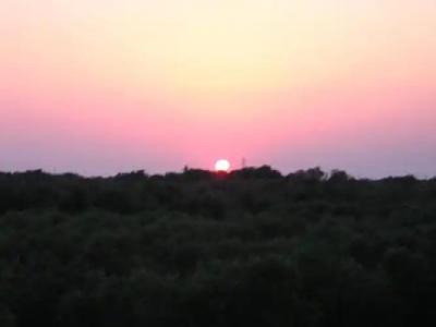 Azienda Agrituristica B&B La Torre - 10