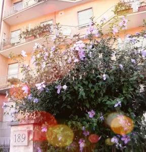 Bed & Breakfast Corso Di Francia - 10