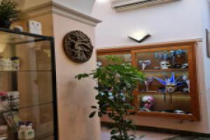 Hotel Amalfitana, Pisa