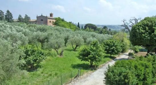 Da Adamo Osteria e Locanda - 15