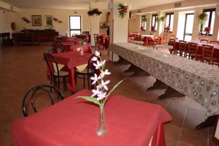 Faggio Rosso - 17
