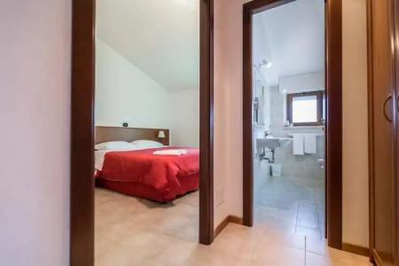 Faggio Rosso - 3