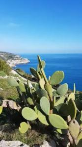 Volito - Rural Experience - 16