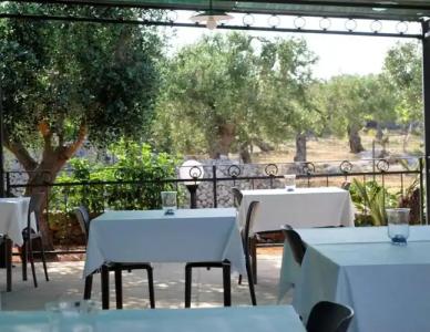 Volito - Rural Experience - 19