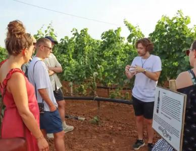 Volito - Rural Experience - 20