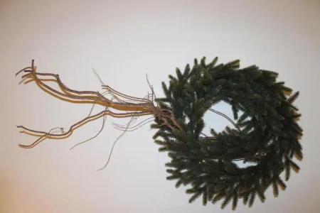 Le Tre Sorelle - 113