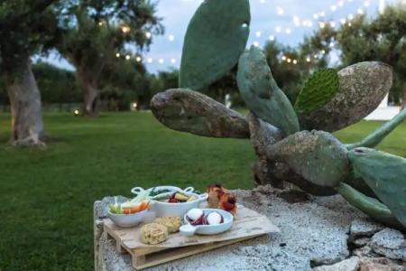 Tenuta Centoporte - 11