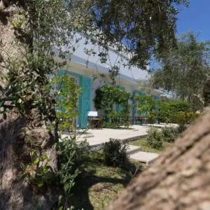 Tenuta Centoporte - 19