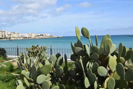 Profumo di Mare - 98