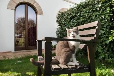 Villa Coralia Agriturismo - 109