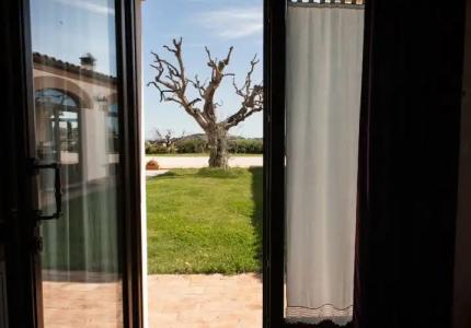 Villa Coralia Agriturismo - 95