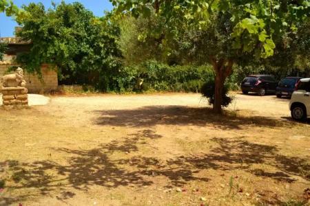 Villa Ambra B&B - 10