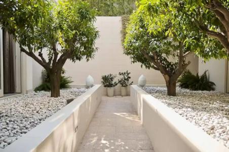 Soglow Business Class - 6