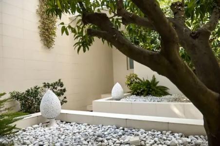 Soglow Business Class - 52