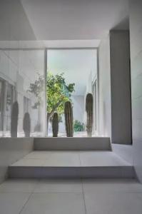 Soglow Business Class - 25