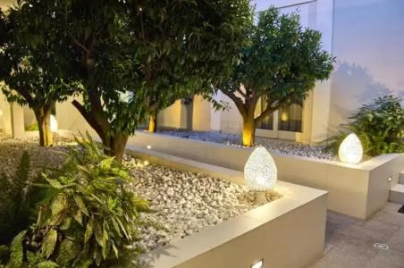 Soglow Business Class - 37