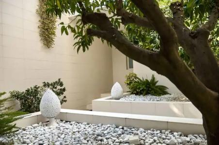 Soglow Business Class - 5