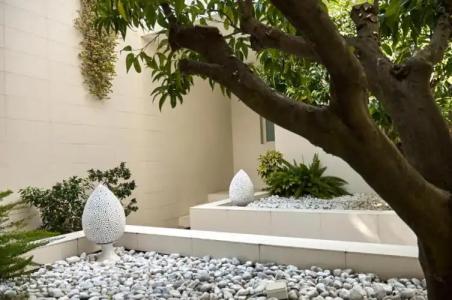 Soglow Business Class - 38