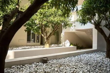 Soglow Business Class - 10