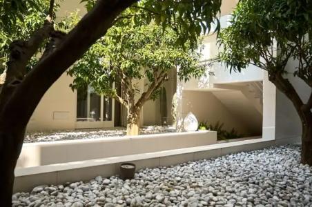 Soglow Business Class - 50