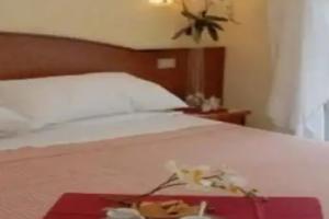 Garn Isabella, Milano Marittima