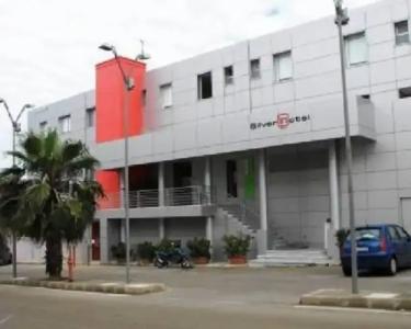 Silver by BarbarHouse - 0