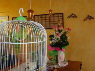Il Casale - 15
