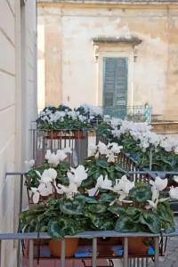 Arco Vecchio Urban Suite - Epoca Collection - 20