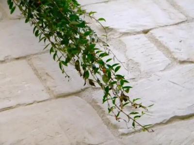 Alvino Suite & Breakfast - 42