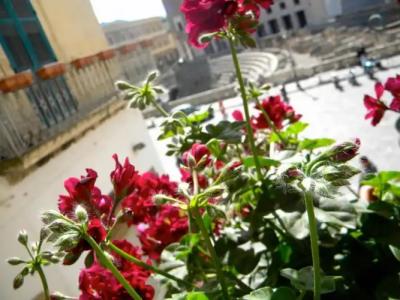 Alvino Suite & Breakfast - 50