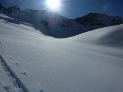 ALBERGO ALPENROSE Ski&Bike Mountain - 6