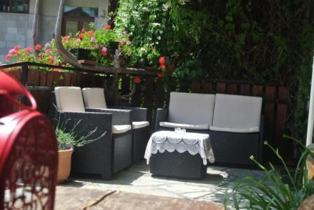 ALBERGO ALPENROSE Ski&Bike Mountain - 7