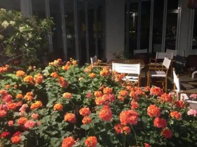 SeaPark Family Resort & Spa - 6