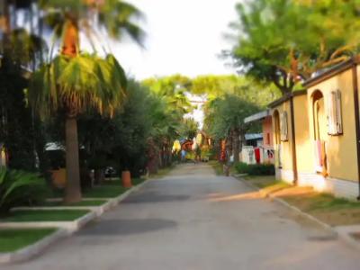 Don Antonio Glamping Village - 12