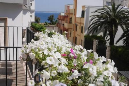 L'Uomo e il Mare - 38