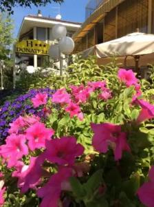 The Donatello Cesenatico - 0