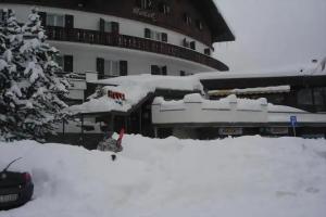 Betulla, Bardonecchia